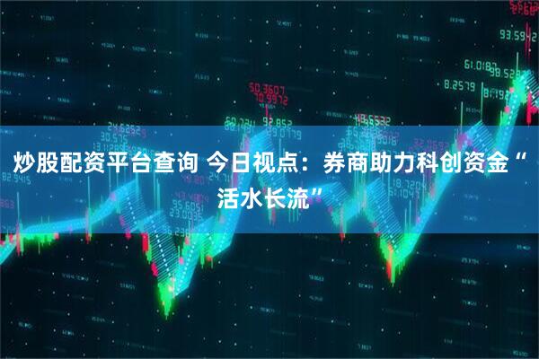 炒股配资平台查询 今日视点：券商助力科创资金“活水长流”