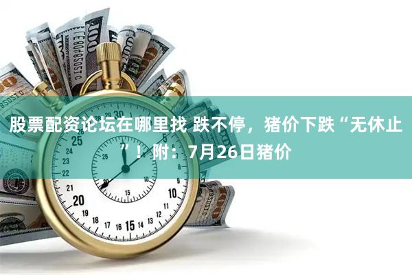 股票配资论坛在哪里找 跌不停，猪价下跌“无休止”！附：7月26日猪价